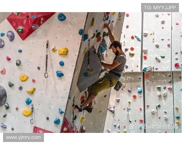 南京滑板队在攀岩联赛中的状态表现分析与未来展望