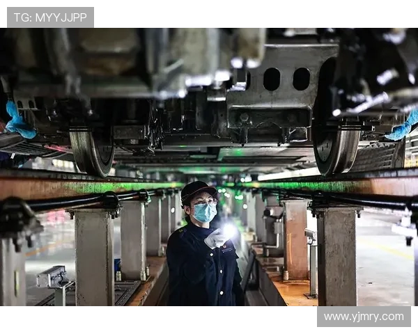 成都排球队的力量变革引发热议展现团队精神与竞技实力的双重提升